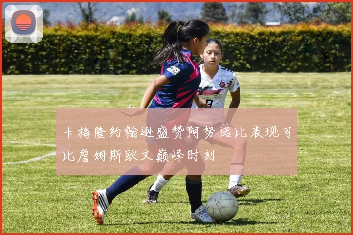 卡梅隆约翰逊盛赞阿努诺比表现可比詹姆斯欧文巅峰时刻